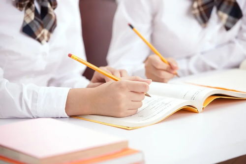 教育部嚴正聲明 警惕虛假信息咨詢，謹防上當受騙